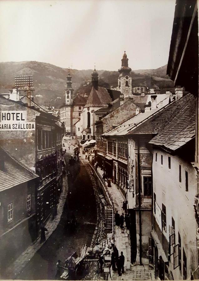 Penzion Rozalia Banská Štiavnica 外观 照片