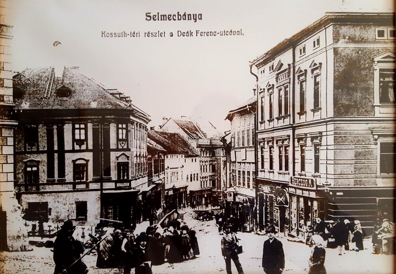 Penzion Rozalia Banská Štiavnica 外观 照片